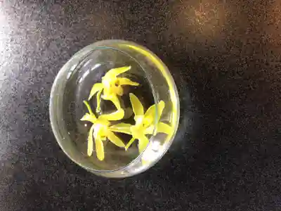 金剛寺(東京都)