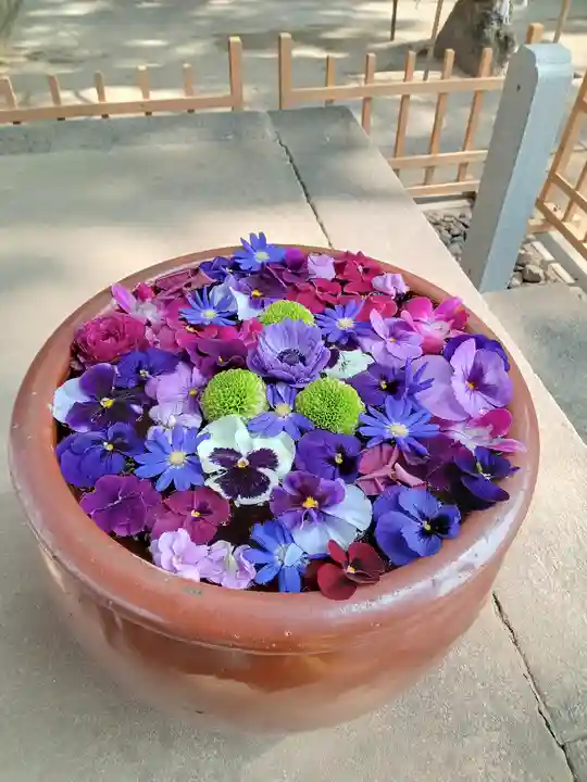 菅生神社(愛知県)