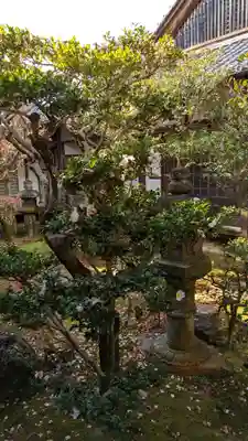 仁和寺(京都府)