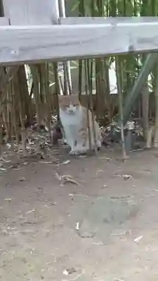居木神社(東京都)