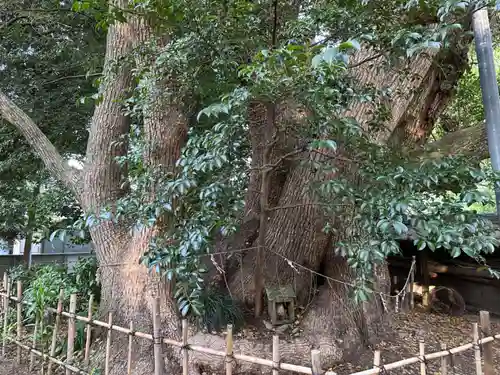 御津神社(愛知県)