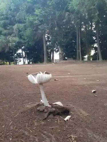 伏木香取神社(茨城県)