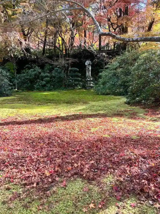 三千院門跡の{uncategorized: "未分類", other: "その他", undefined: "問題あり", building: "その他建物", grave: "お墓", sacred_gate: "鳥居", guardian: "狛犬", statue: "像", buddha: "仏像", history: "歴史", nature: "自然", garden: "庭園", animal: "動物", pagoda: "塔", temizu: "手水舎", mountain_gate: "山門・神門", sanctuary: "本殿・本堂", subordinate: "末社・摂社", art: "芸術", scenery: "景色", jizo: "地蔵", ema: "絵馬", goshuin: "御朱印", omikuji: "おみくじ", items: "授与品その他", amulet: "お守り", goshuincho: "御朱印帳", eats: "食事", festival: "お祭り", votive_dance: "神楽", shichigosan: "七五三参", wedding: "結婚式", experience: "体験その他", initially: "初詣", around: "周辺", anti_infection: "感染症対策"}