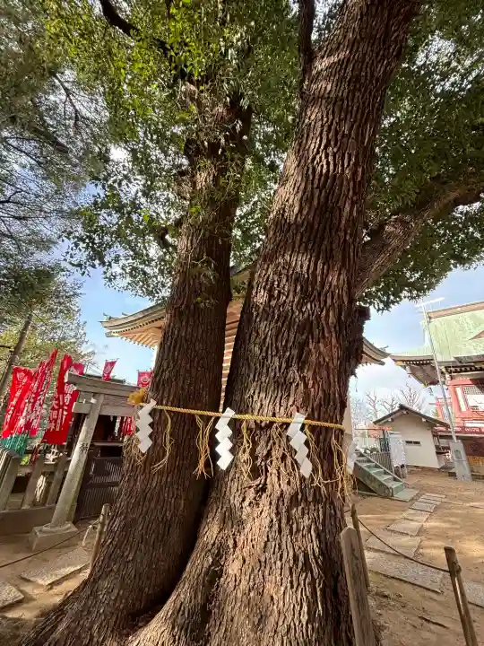 諏訪神社の{uncategorized: "未分類", other: "その他", undefined: "問題あり", building: "その他建物", grave: "お墓", sacred_gate: "鳥居", guardian: "狛犬", statue: "像", buddha: "仏像", history: "歴史", nature: "自然", garden: "庭園", animal: "動物", pagoda: "塔", temizu: "手水舎", mountain_gate: "山門・神門", sanctuary: "本殿・本堂", subordinate: "末社・摂社", art: "芸術", scenery: "景色", jizo: "地蔵", ema: "絵馬", goshuin: "御朱印", omikuji: "おみくじ", items: "授与品その他", amulet: "お守り", goshuincho: "御朱印帳", eats: "食事", festival: "お祭り", votive_dance: "神楽", shichigosan: "七五三参", wedding: "結婚式", experience: "体験その他", initially: "初詣", around: "周辺", anti_infection: "感染症対策"}