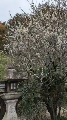梅宮大社(京都府)