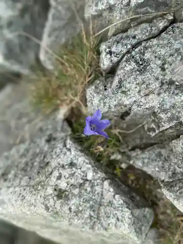雄山神社峰本社の自然