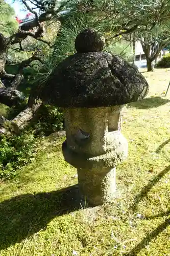 城南宮の庭園