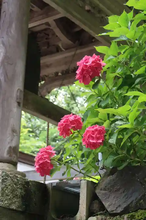 赤後寺(滋賀県)