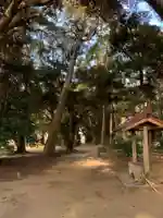 天満神社(千葉県)