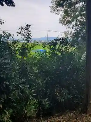 八幡宮 (上羽田町)(栃木県)