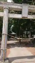 新堀神社の鳥居