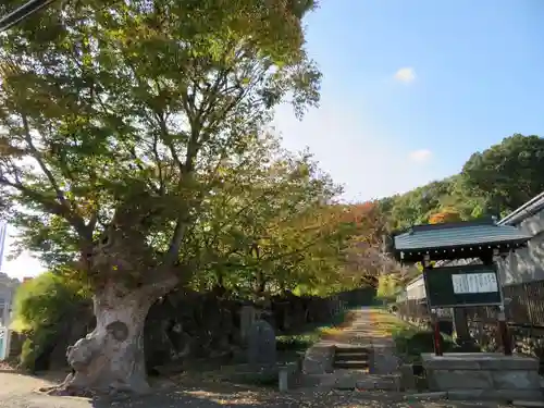 横浜　西方寺のその他建物