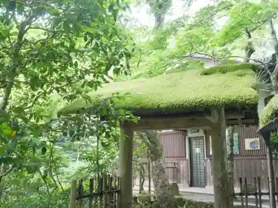 寂光院の山門・神門