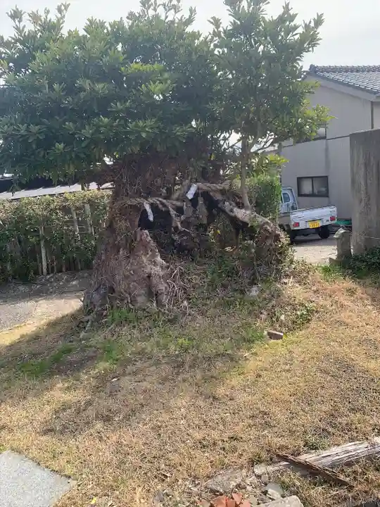 高徳院(千葉県)