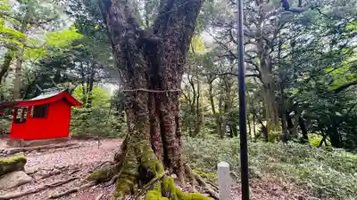 稲荷神社(福井県)