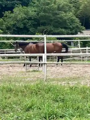 若都王子神社の動物