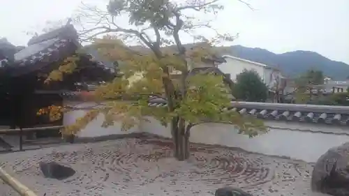 光明禅寺の庭園