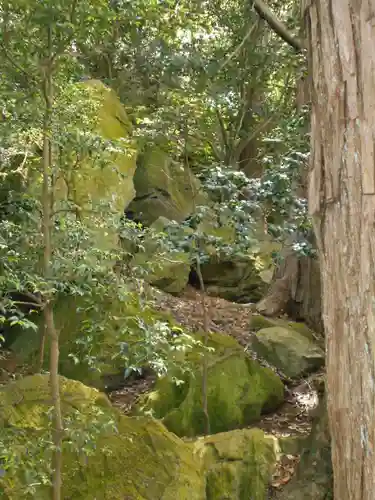 住吉神社の自然