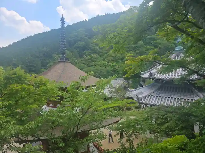 善峯寺(京都府)