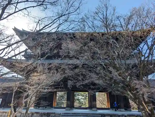 南禅寺の山門