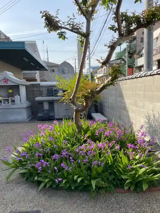 極楽寺(兵庫県)