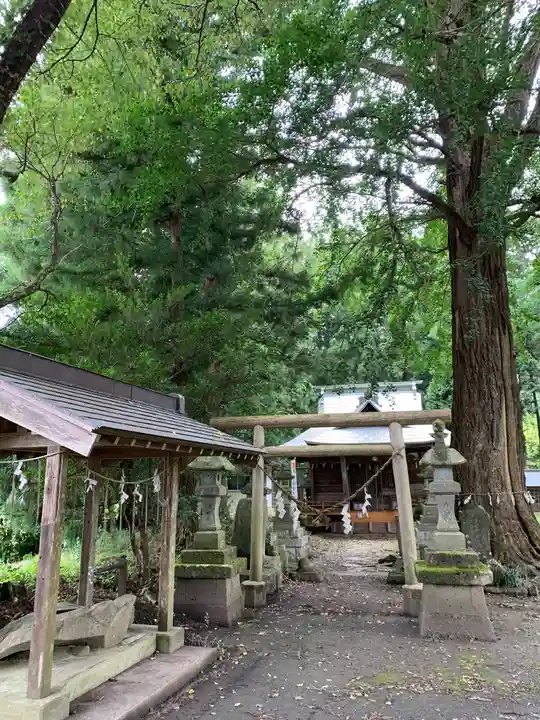 戸隠神社の鳥居