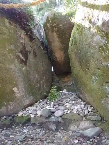 神倉神社（熊野速玉大社摂社）の自然