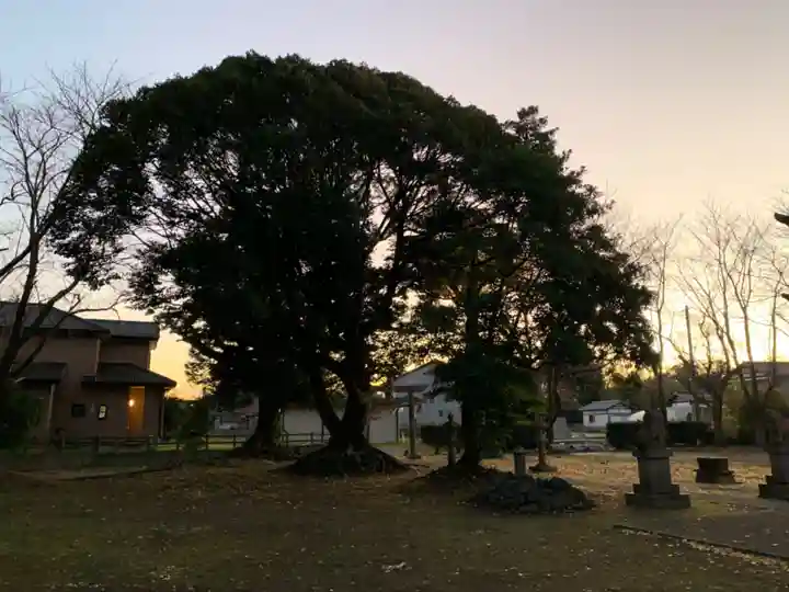 大宮神社の自然