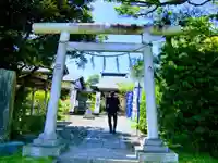 櫻井子安神社の鳥居