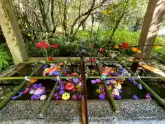 瀧尾神社の手水