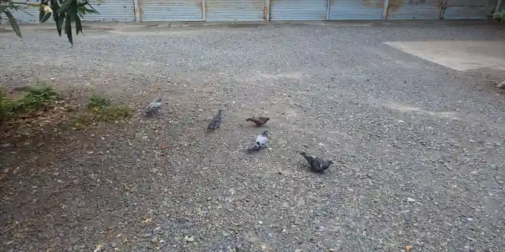 平野神社(京都府)