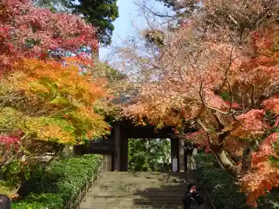 円覚寺の山門・神門