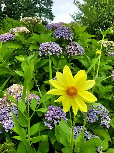 豊景神社(福島県)