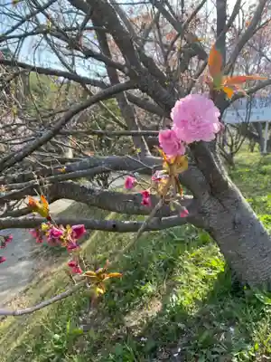 素戔嗚神社の自然