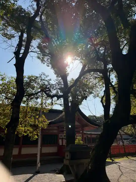 津島神社の{uncategorized: "未分類", other: "その他", undefined: "問題あり", building: "その他建物", grave: "お墓", sacred_gate: "鳥居", guardian: "狛犬", statue: "像", buddha: "仏像", history: "歴史", nature: "自然", garden: "庭園", animal: "動物", pagoda: "塔", temizu: "手水舎", mountain_gate: "山門・神門", sanctuary: "本殿・本堂", subordinate: "末社・摂社", art: "芸術", scenery: "景色", jizo: "地蔵", ema: "絵馬", goshuin: "御朱印", omikuji: "おみくじ", items: "授与品その他", amulet: "お守り", goshuincho: "御朱印帳", eats: "食事", festival: "お祭り", votive_dance: "神楽", shichigosan: "七五三参", wedding: "結婚式", experience: "体験その他", initially: "初詣", around: "周辺", anti_infection: "感染症対策"}