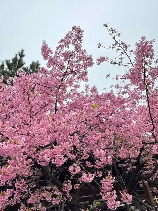 新宿下落合氷川神社(東京都)
