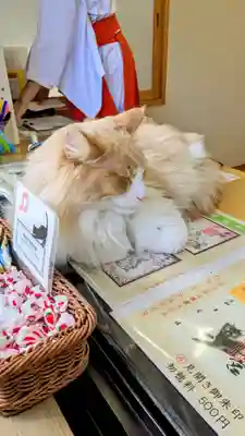 駒込妙義神社の動物