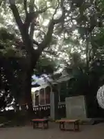 乃木神社のその他建物