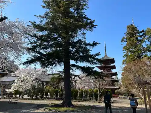 最勝院の建物その他