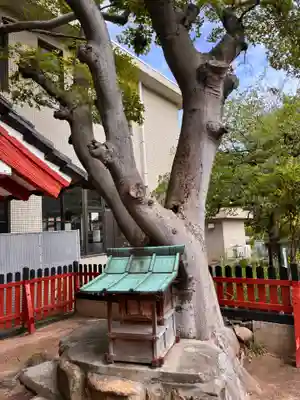 稲荷神社の自然