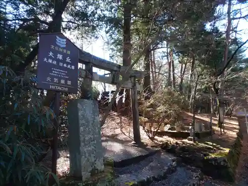 北口本宮冨士浅間神社の鳥居