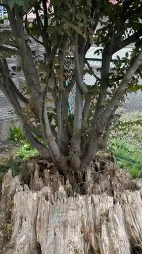 御嶽神社(宮城県)