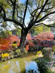 太宰府天満宮(福岡県)