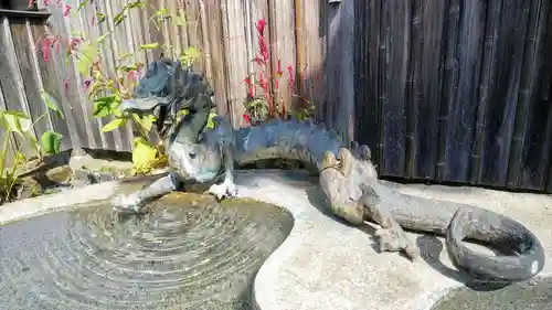 瀧泉寺の手水