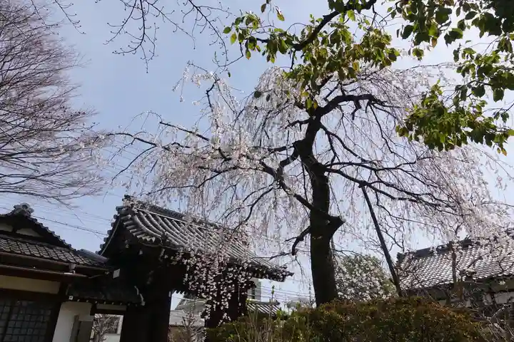 上品蓮台寺のその他建物