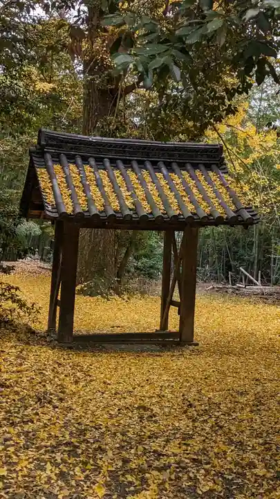 観音寺(山崎聖天)(京都府)