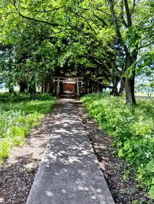 熊野神社(福島県)