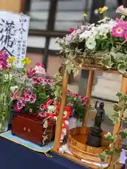 伊勢原 法泉寺の体験その他