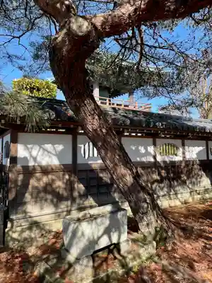 白旗八幡宮(栃木県)