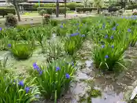 知立神社の自然